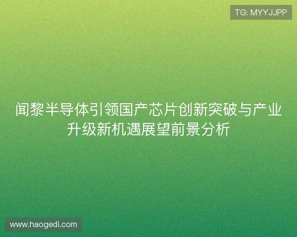 闻黎半导体引领国产芯片创新突破与产业升级新机遇展望前景分析